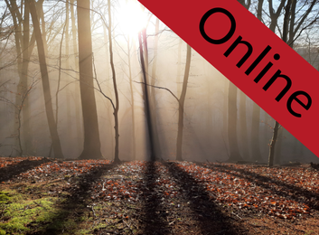 „Licht, Land, Lebensraum?“ – Rechtsesoterische Siedlungsbewegungen zwischen Naturverbundenheit und Demokratiefeindlichkeit (FARN)